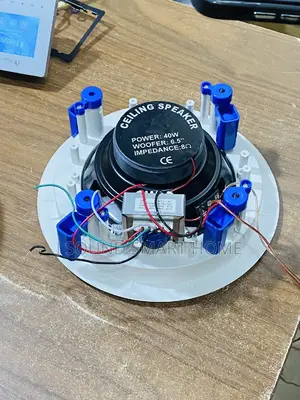 40watts Ceiling Speakers
