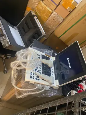 2 Probe Laptop Ultrasound Black and White