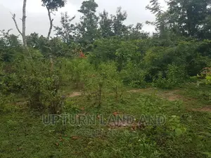 146 Acres of Land for Sale Comes With C of O /Acre