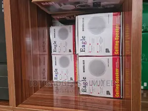Frameless Ceiling Speaker