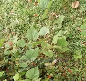 1200sqm of Land for Sale at Ikoya Avenue Rd, Ikoyi