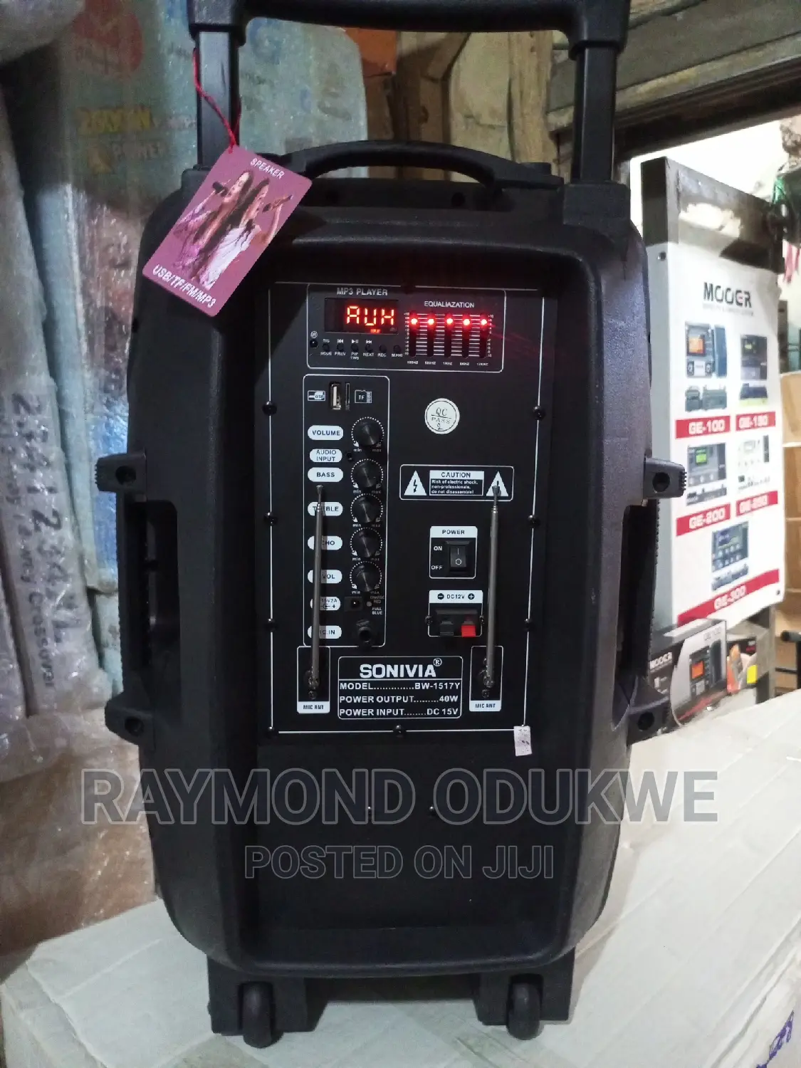 15 Inches Bluetooth Speaker PA System With Wireless Mics