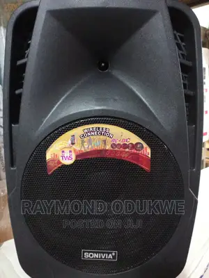 15 Inches Bluetooth Speaker PA System With Wireless Mics