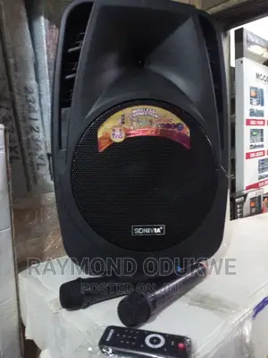 15 Inches Bluetooth Speaker PA System With Wireless Mics