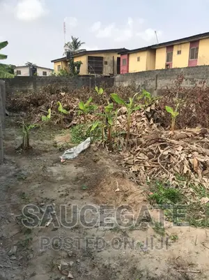 Dry Land at Mobile Estate Axis Satellite Gated 25mil Net