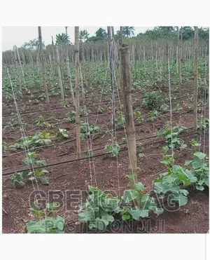 Farmland for Sale at Siun Ogun State