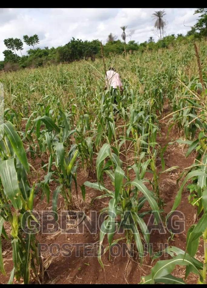 Farmland for Sale at Siun Ogun State in ObafemiOwode Land & Plots