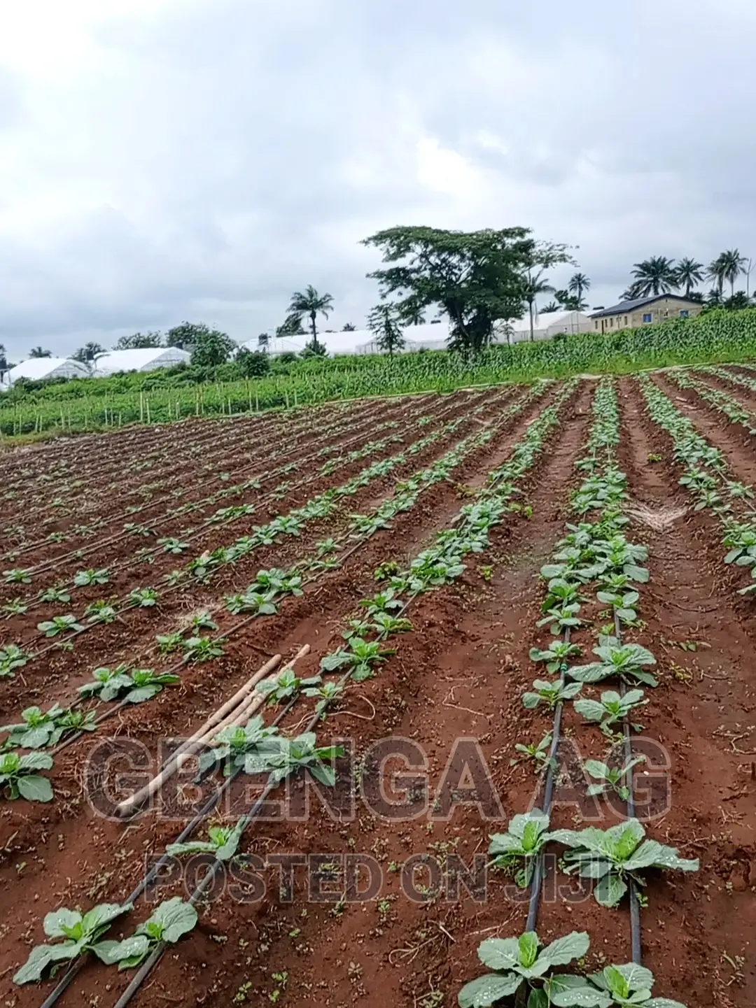 Farmland for Sale at Siun Ogun State in ObafemiOwode Land & Plots