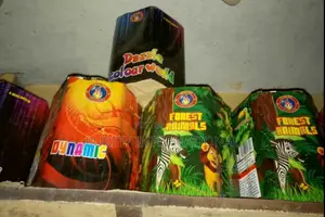 Fireworks For Your Christmas And New Year