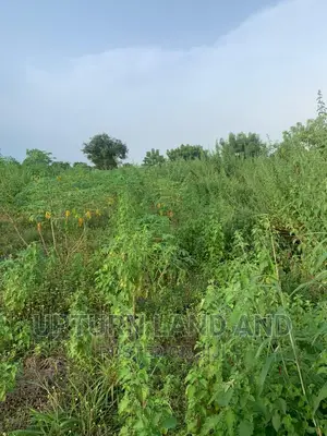100 Acres of Land for Sale With Red Coy Survey Hundred K/Acr