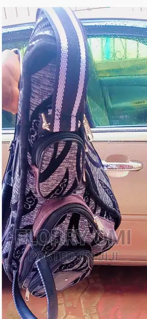 Saxophone Bag