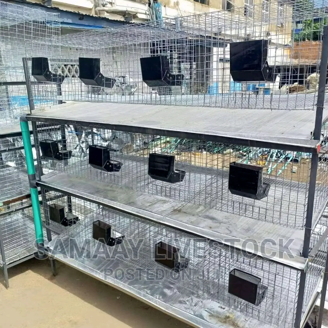 Rabbit Cage