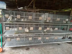 Rabbit Cage