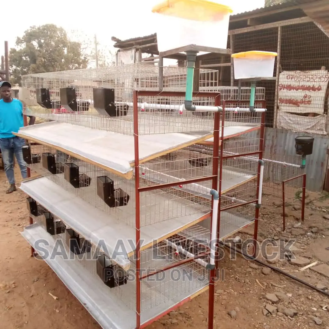 Rabbit Cage
