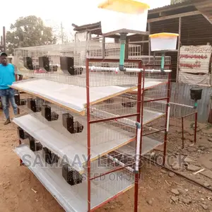 Rabbit Cage