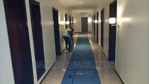 Deep Cleaning of Rugs