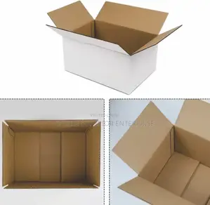 Packaging Carton For Products Movement