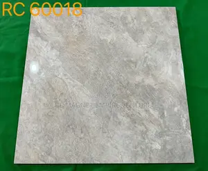 Quality 60 X 60 Designed Virony Floor Tiles.