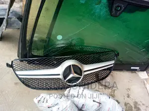 GLE Front Bumper Grill Direct