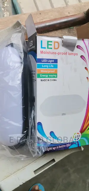 Wall Light /Security Light
