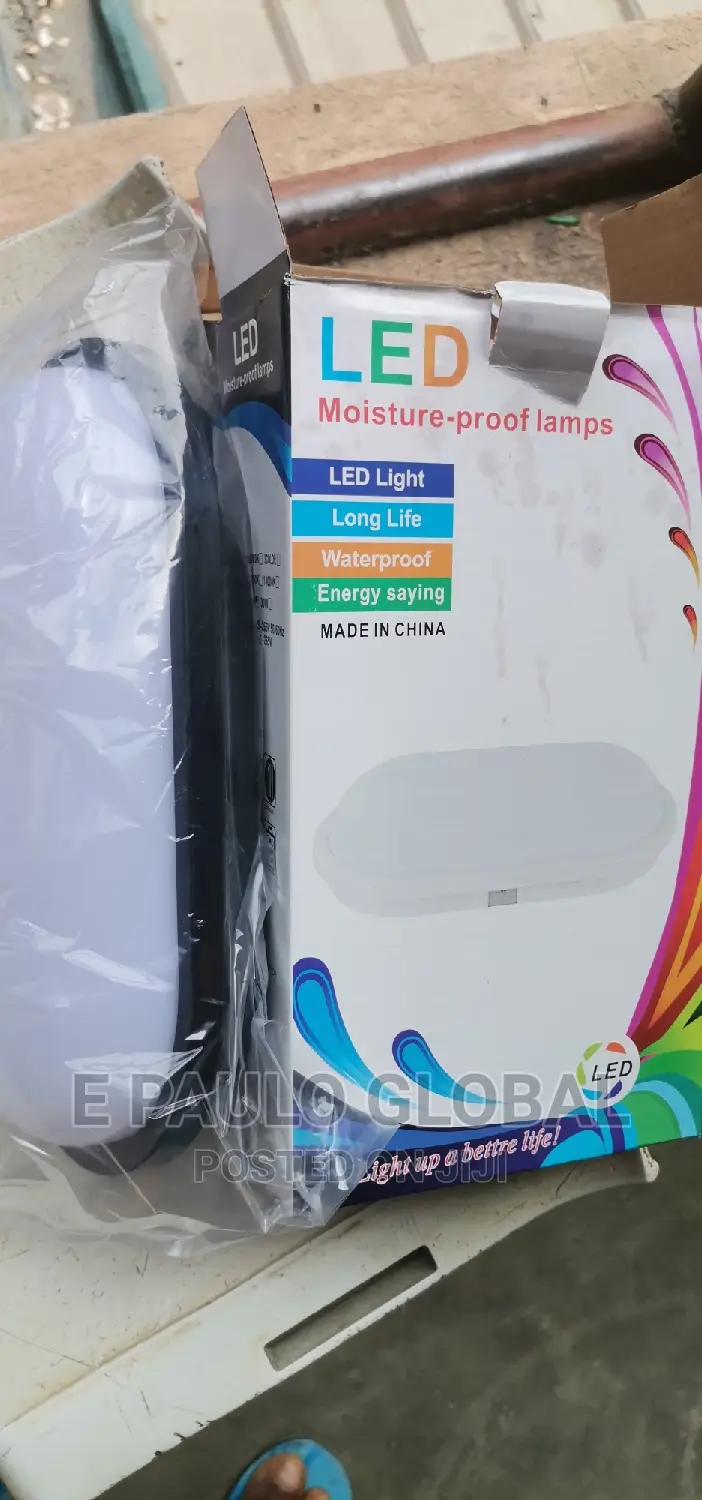 Wall Light /Security Light