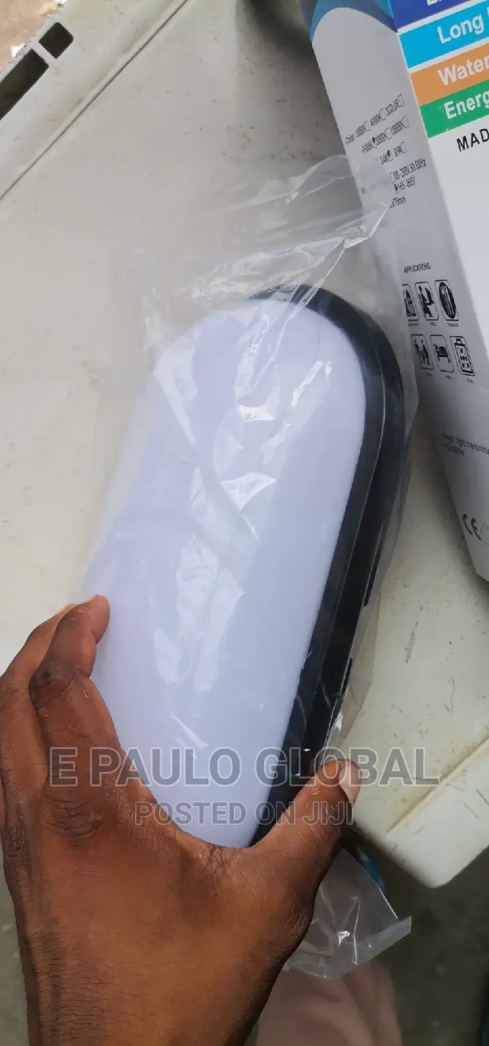 Wall Light /Security Light