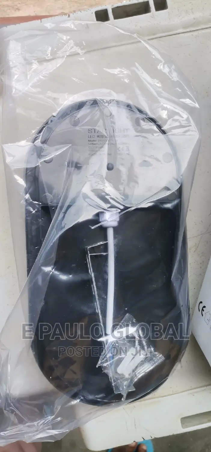 Wall Light /Security Light