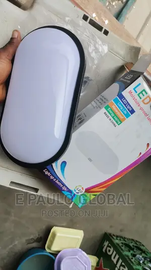 Wall Light /Security Light
