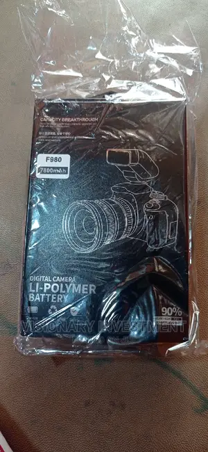 Np F980 Battery for Video Light With Usb Port