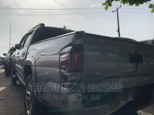 Toyota Tacoma Limited 2019 Silver