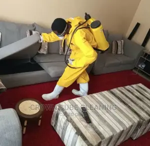 Best Fumigation Services/ Bedbugs Fumigation
