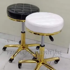 Laboratory Chair / Spa Chair / Bar Chair