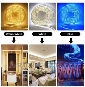 Rope Light and Cook