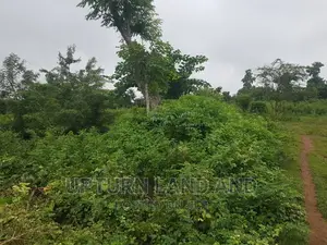 40 Acres of Land for Sale in Peaceful Area