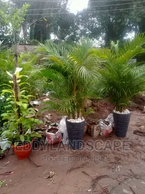 Landscape Design/Contractor (HORTICULTURE)