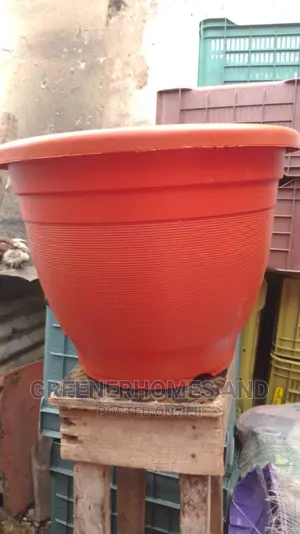 Flower Pots