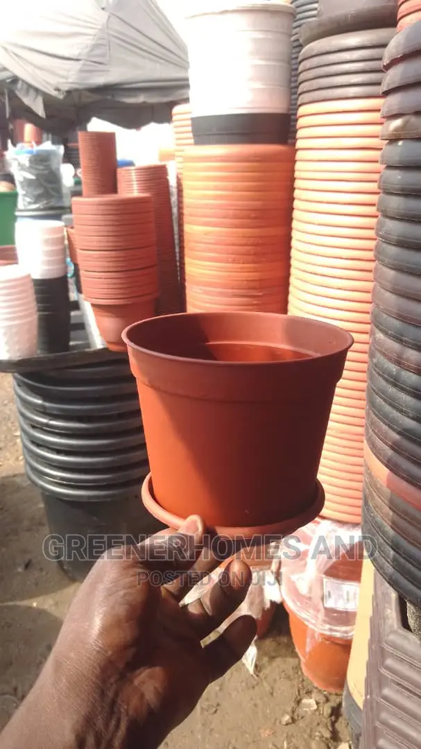 Flower Pots