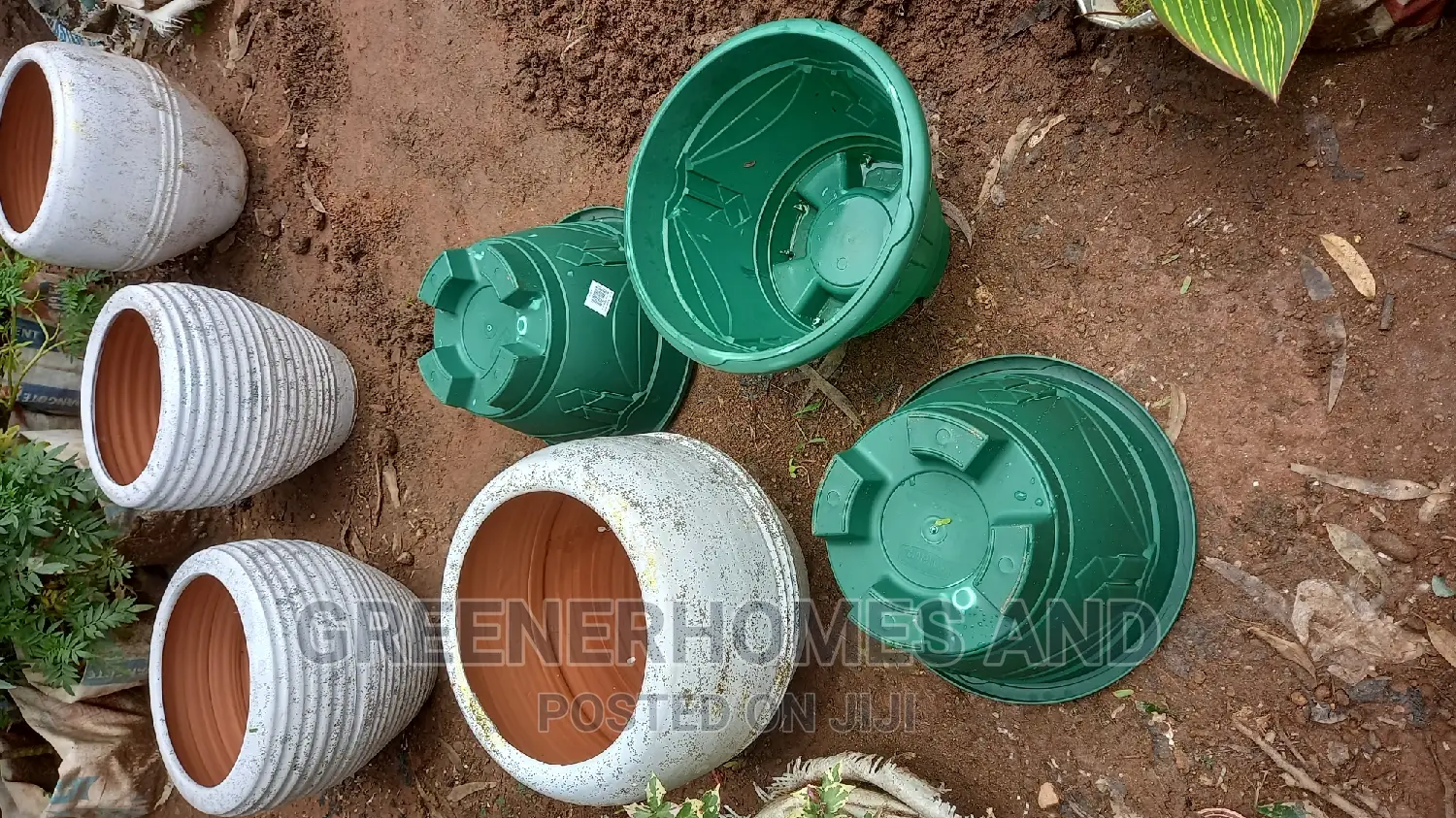 Flower Pots