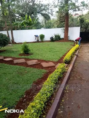 Landscape Plants (Ornamental) for Your Habitable Living