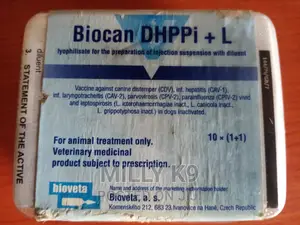 Dog Vaccines