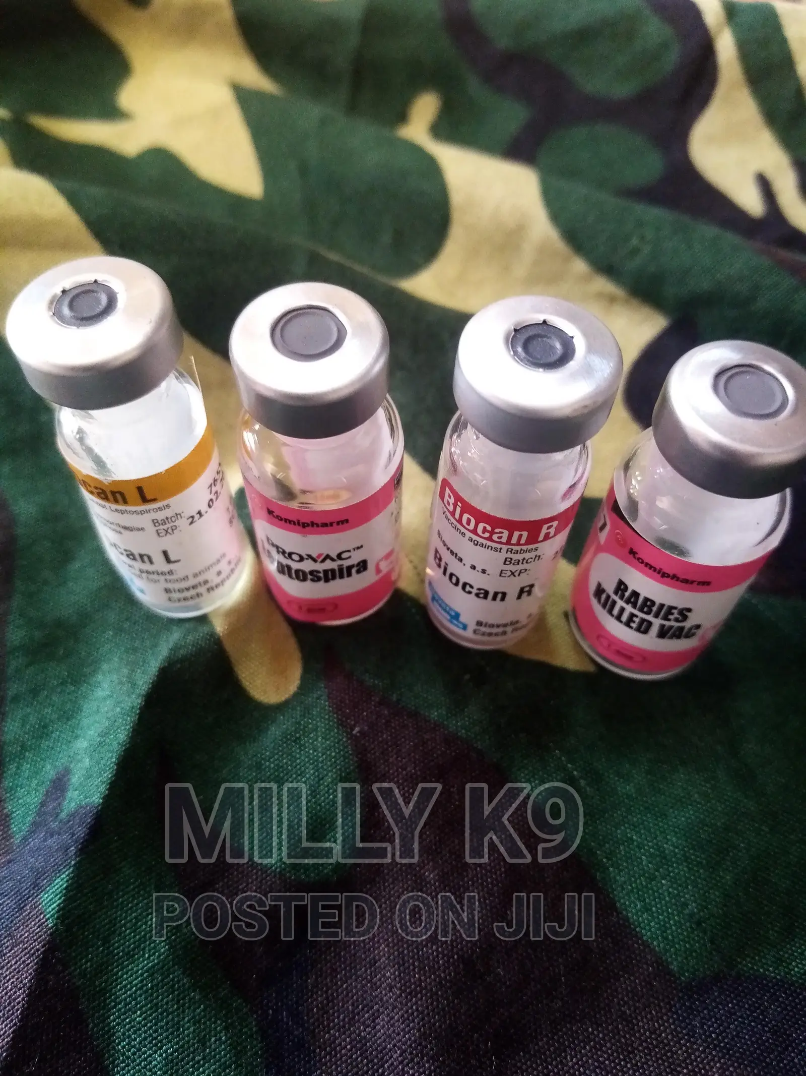 Dog Vaccines