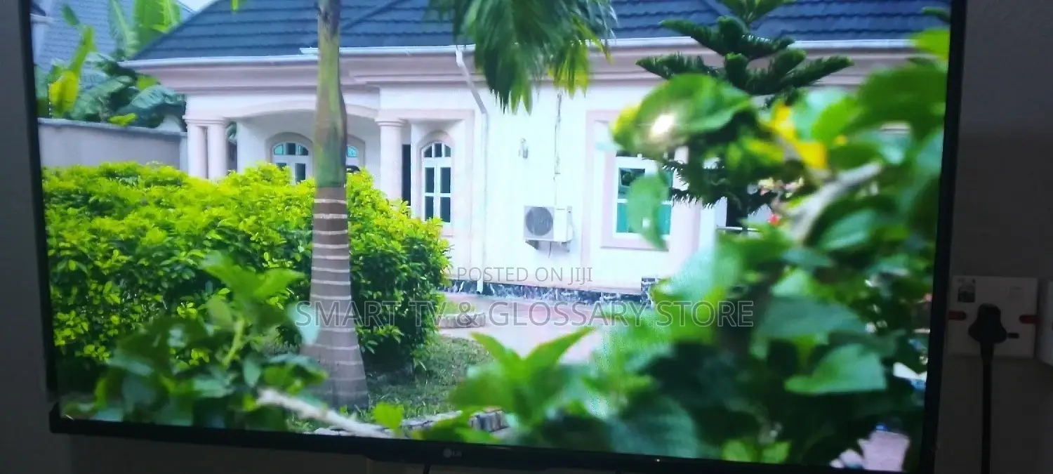 Artificial Intelligence LG 49 Frameless and Game Tv