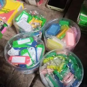 Key Ring's Name,50pcs Random Colour Plastic Keychains(Blank)