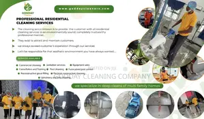 Professional Cleaning Service