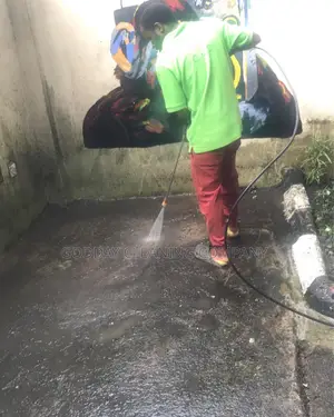 Professional Cleaning Service