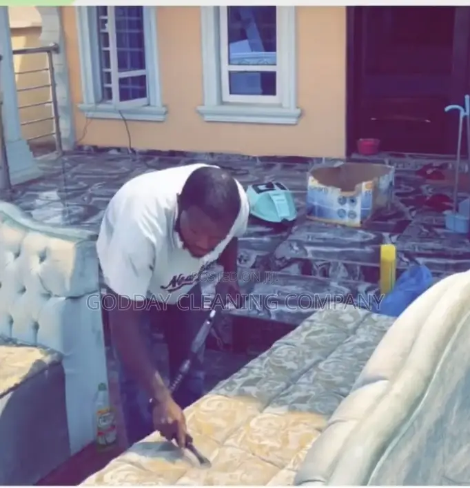 Professional Cleaning Service