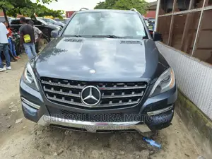 Mercedes-Benz M Class 2015 Gray