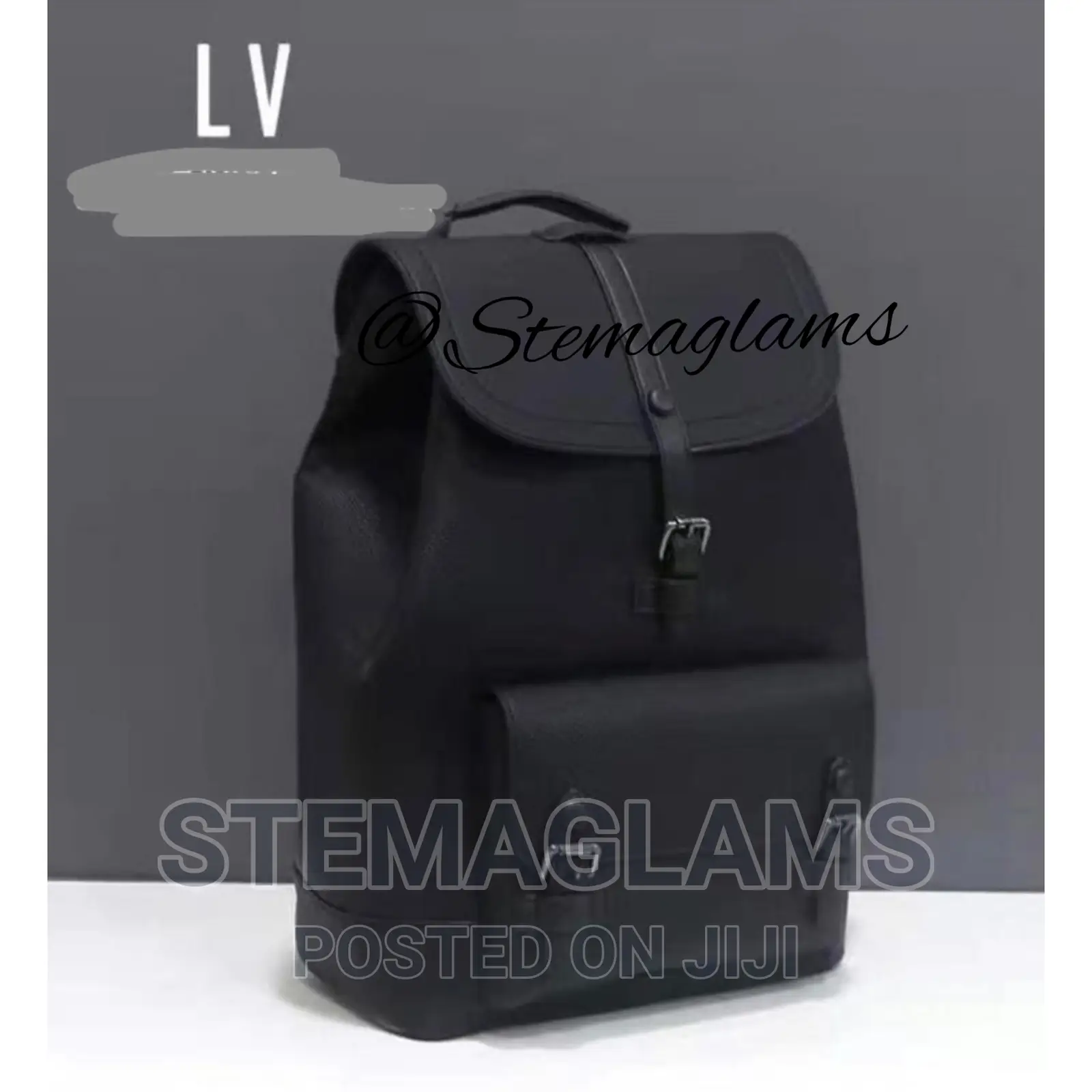 Louis Vuitton Luxury Packpack