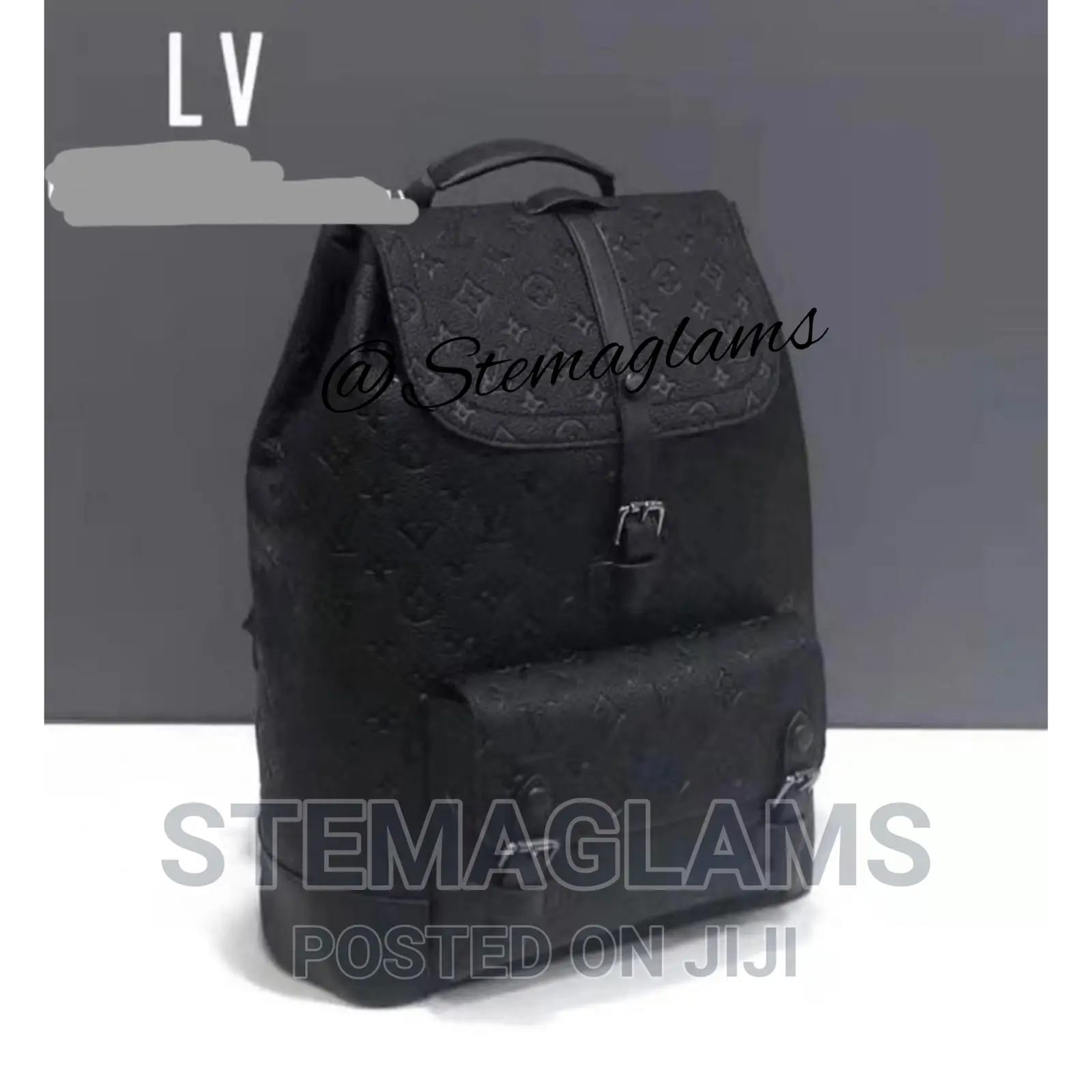 Louis Vuitton Luxury Packpack