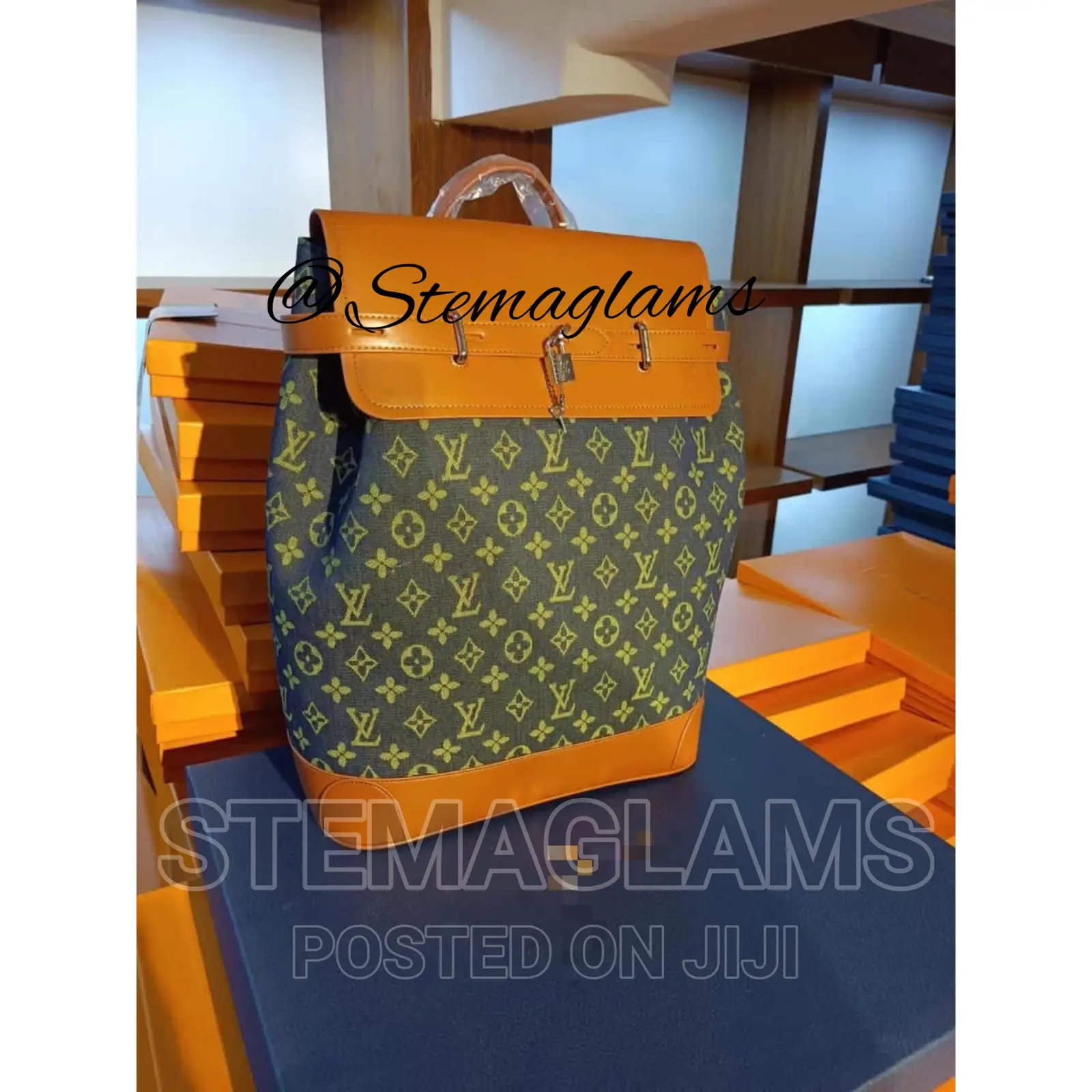 Louis Vuitton Luxury Packpack